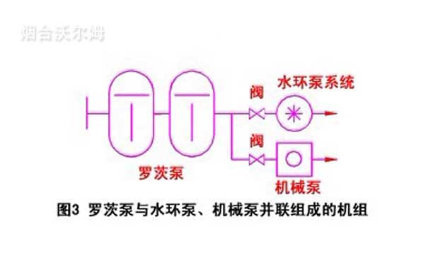 羅茨泵與水環(huán)泵、機械泵并聯(lián)組成的機組